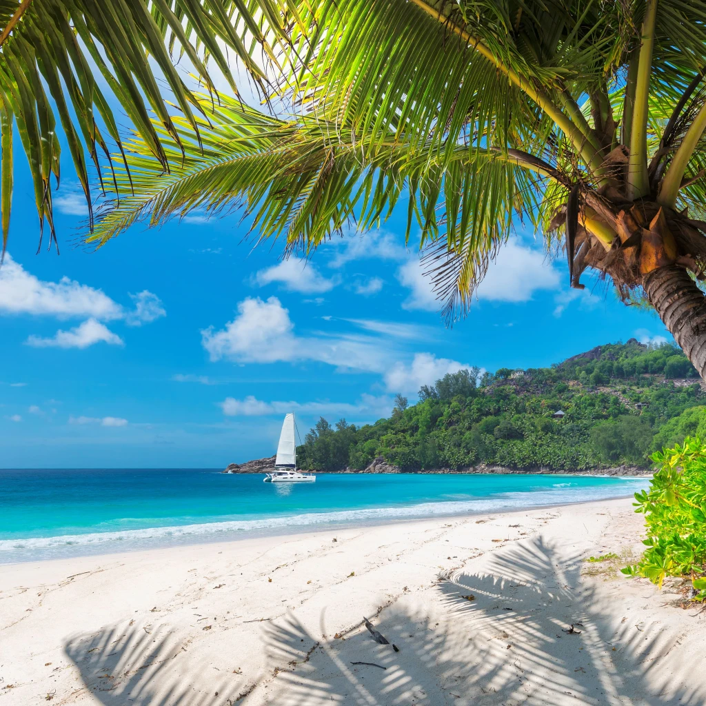 Caraibi
